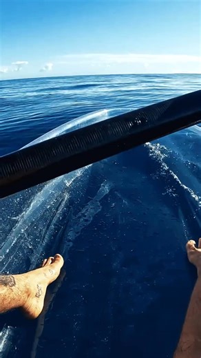 42K views · 745 reactions | welcomed visitors in the deep blue.. | Brodie Moss | Facebook