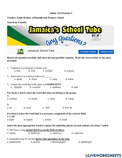 Ability Test Practice 5 worksheet