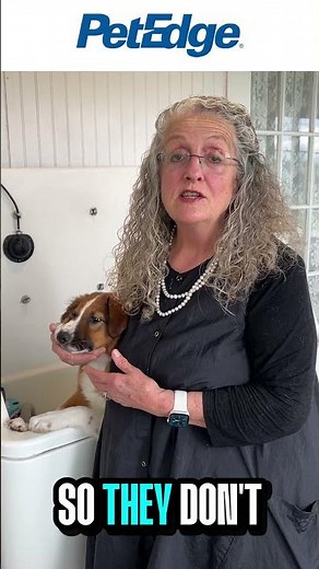 Why Puppy Shampoo Actually Matters 🐶🛁 | Grooming Truth