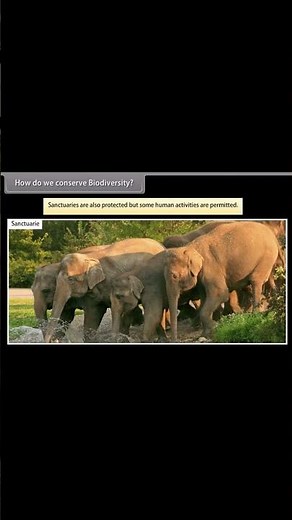 BIODIVERSITY AND CONSERVATION PART 33 #biodiversity #biology #science #biodiversityandconservation