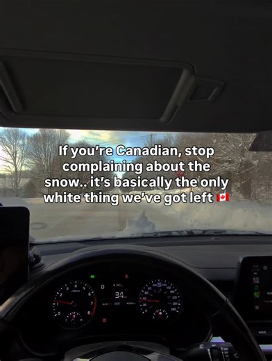 Zeph James | Mindset & Matrix on Instagram: "We need to be more appreciative for our culture and our heritage. Canada will not be Canada in a few more years.. We’ll be the 51st state of Israel. Diluted by people who can’t respect their own culture, but think they can respect ours? Welcome to the new world. Where being foreign means you get better care and opportunities, while your own people go homeless and broke. Let’s make it make sense? Oh wait, it does, when you realize it’s all by design, T