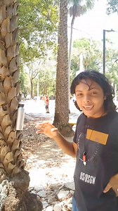 Sequência de Fibonacci na Natureza #experimento #matemática #biologia #educação #ciência | Domingos Dos Santos Neto TT