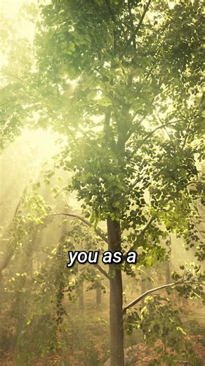 547K views · 11K reactions | You are not limited to the form you inhabit. Beneath every identity lies the essence of pure consciousness, the true self beyond name and story. | Eckhart Tolle | Facebook