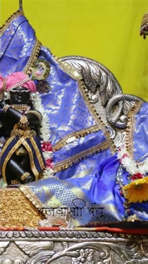 Raman (रमण) means “one who gives joy” or “the beloved,” a name for Krishna