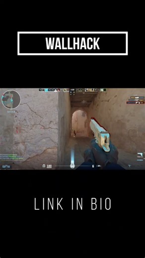 The SMOOTHEST aimbot in CS2 is here (External) #csgo #cs2 #gameplay #gaming