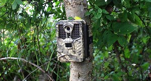 Covert's New ICE Cam is Effective and Affordable