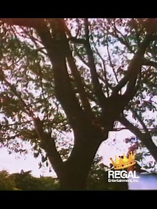 Napalakas sorry... Si Malakas at si Maganda (1990) | Regal Entertainment Inc.