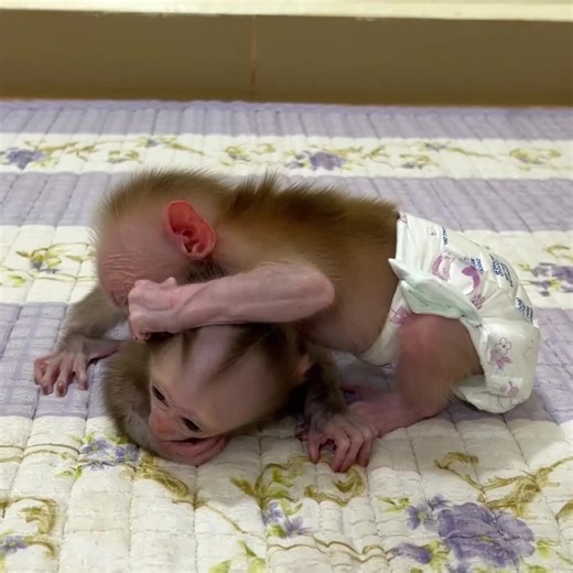 Overcoming Loneliness: Strategies to Engage and Play