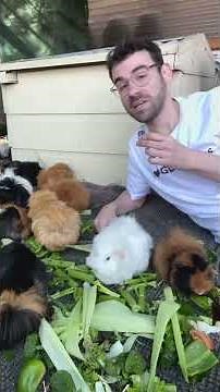 Protect your exotic pet and save 15% this EOFY
