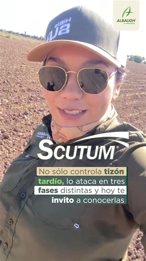 4.6K views · 65 reactions | Scutum no solo controla el tizón tardío:...