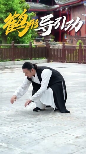 Master Li's Crane Pose Mastery: Join the Practice Journey Yoga ChineseMartialArts