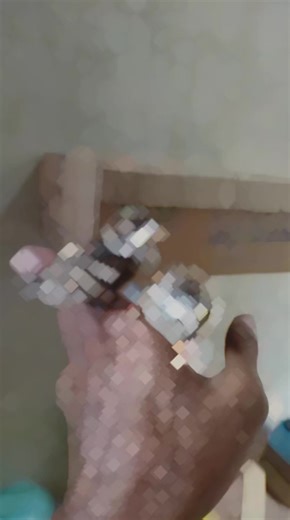 Bas Jan on TikTok