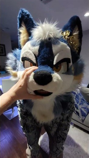 Special move go 👉#furry #fursuit #furryfandom #fursuiter