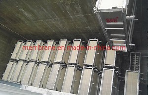 [Hot Item] 0.8m2 Membrane Cartridge for Membrane Bioreactor (MBR) Process / PVDF 0.1micron/ Waste Water Treatment/Similar Like Kobuta / Toray Membrane