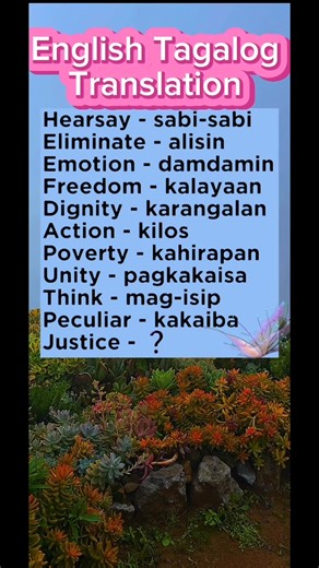 English Tagalog Translation ❤️☺️ | Learning English Tagalog