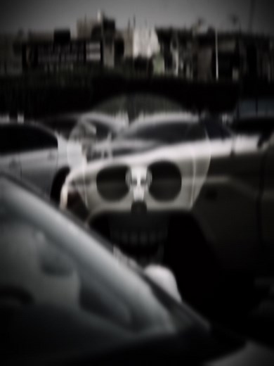 ‏#fypシ゚ #explore #شاص