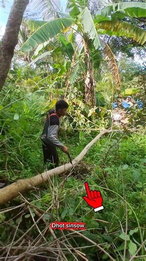 very strange,, due to being impatient waiting for the chainsaw and finally using someone else's