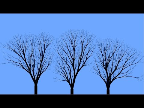 Branching Algorithm Animator - Experiment 1