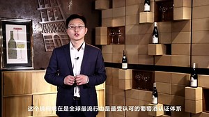 wset是什么，怎么学习