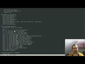 I made a terminal based text editor in 208 lines with Python & Curses