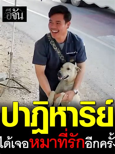 บังเอิญ หรือปาฏิหาริย์ ? หมาจร วิ่งเข้ามากอดลูกค้าร้านชานม ร้องหงิงๆ เหมือนสนิทกัน ลูกค้าถึงกับลั่น “เห้ยพี่ ! นี่หมาผม หายจากบ้านเกือบ 2 อาทิตย์” ******************************* มาใหม่สุดล่า เอ้ย! ล่าสุด วางจำหน่ายแล้ววันนี้ !! “บราวนี่รสมัทฉะ เนื้อนุ่มหนึบ หอมมัทฉะ เข้มข้น” โรยหน้าด้วยช็อกโกแลตชิพ ด้กลิ่นรสมัทฉะ หอม เข้มข้น ในราคาที่เข้าถึงได้ง่าย . ใหม่ ✨ บราวนี่รสมัทฉะ 🍵 🥧 ราคาชิ้นละ 14 บาท . 🏠 สามารถหาซื้อได้ที่ 7-Eleven, Lotus’s, Big C, Tops, Top Dariy, Gourmet market, Lawson, Jiffy, ซุ