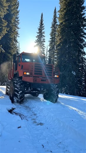 A heavy-duty logging truck slowly climbs a snow-covered forest slope, chains gripping every inch of the trail. Pure power, patience, and control in the heart of winter. Watch how engineering meets nature. ❄️🚛🌲 #LoggingTruck #HeavyMachinery #SnowChains #ForestRoad #PowerMachines #WinterWork #TruckLife #IndustrialVibes #SatisfyingVideo #ReelsVideo | National Farm Machinery Show-KYNFMS