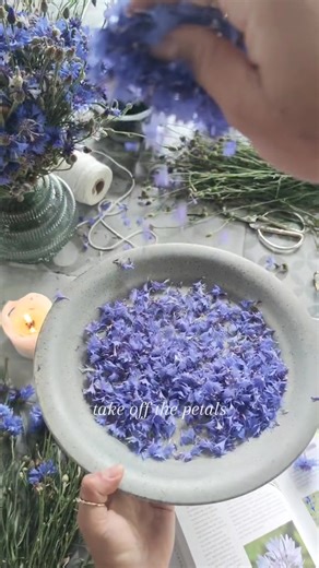 🥣 Let's make flower sugar | Fabulous Witch