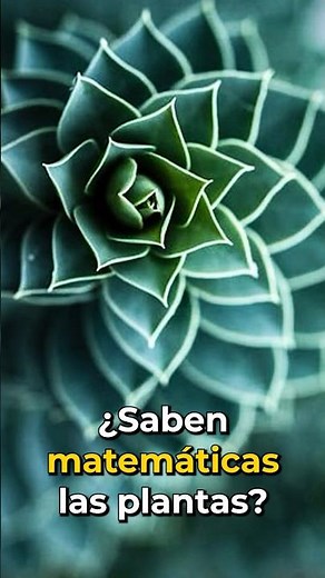 Do plants know math? Fibonacci, fractals, and the golden ratio