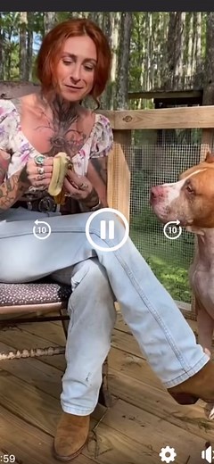 Were still out here 💪🏽thank you for your support🫶🏼 #villalobosrescuecenter #pitbull #neworleans #pitbullsandparolees