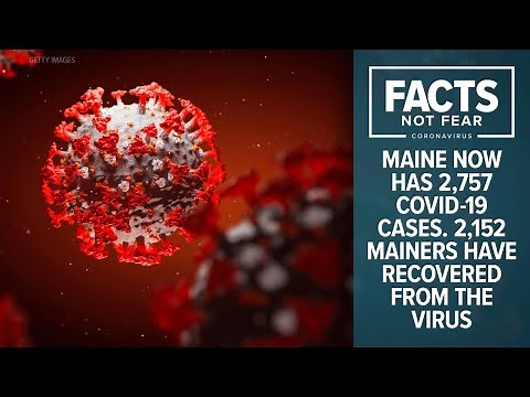 Maine Moose Permit Lottery LIVE