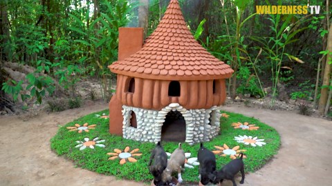 Building a mud house for puppies surrounded by a fish pond
