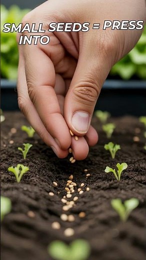 How Deep Should You Plant Seeds? (It Matters!)