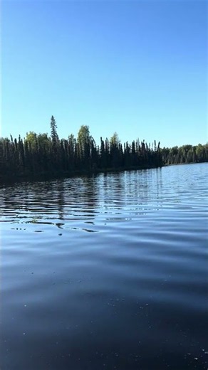Big Noluck Lake, Alaska 🍂🛶 Nancy Lake Canoe Trail