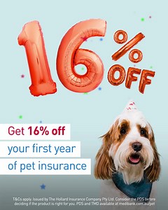 25 reactions · 7 comments | Want a sweet 16% off your first year of pet insurance? Sign up and use promo code SAVE16 by 2 Feb 2022. T&Cs apply.  拾  | Medibank | Facebook