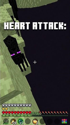 Minecraft: Endermen vs Endermites