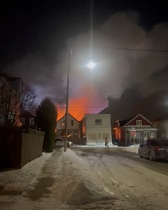 1.8K views | Friendly Neighbour on Reels | Facebook