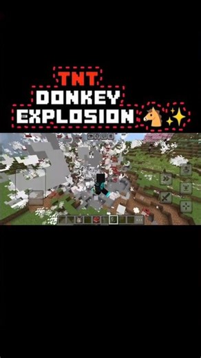 Minecraft#TNT DONKEY EXPLOSION🐴✨ SUBSCRIBE