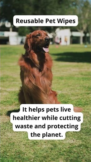 Stop Plastic Waste with Eco Poop Bags (Eco Tip #17).7