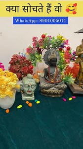 1.2K views · 95 reactions | WhatsApp 9416214035❤️ . . . ....