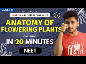 Anatomy of Flowering Plants Class 11 | Biology | For NEET | Full Revision In 20 Minutes