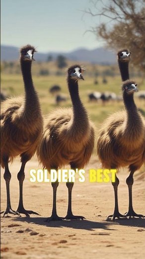 The Great Emu War