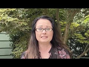 Business Technology Program Overview