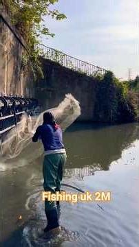 Summer fishing,, cast net, dinner,Rare fish #fishingtechniques