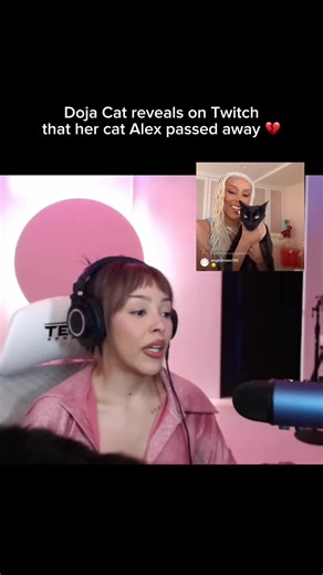 Doja Cat reveals on Twitch Stream that her cat Alex passed away last year. 💔 Also reveals she got a new cat named Axel. 🐈‍⬛ #dojacat #doja #twitch #stream #clips @Doja Cat