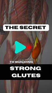 I don’t think people understand the full potential of the gluteus maximus – or how to unlock its power truly. 💥 Most of us know this muscle as the ‘glutes’ or the ‘butt,’ but there’s so much more beneath the surface than meets the eye! Building strength here isn’t just about doing squats or deadlifts; it requires a strategic approach that taps into this powerful muscle’s unique structure and function. The gluteus maximus is the largest muscle in the body, attaching broadly from the pelvis and s