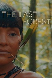 The Last Forest - Movie