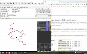 AutoDockFR Covalent docking问答