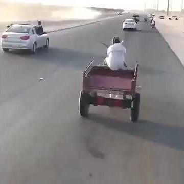 Fastest Donkey In The world (120 km/hr)