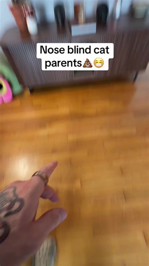 Essential Tips for Dealing with Litterbox Issues in Cats