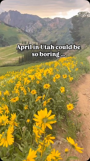 The Spring in Utah …: what’s your favorite part of Spring? #utah | Utah Fun Activities